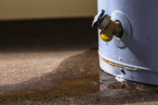 Best Local water damage restoration  in Jefferson, NC