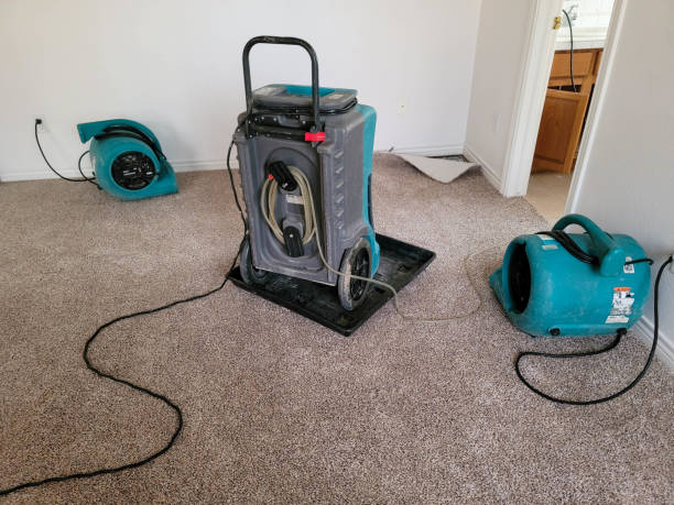 Best Mold removal after water damage  in Jefferson, NC