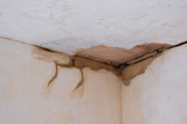 Best Water damage restoration mold remediation  in Jefferson, NC