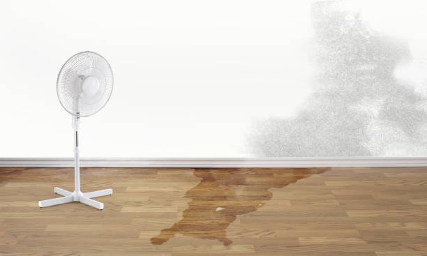Best Water damage restoration near me  in Jefferson, NC