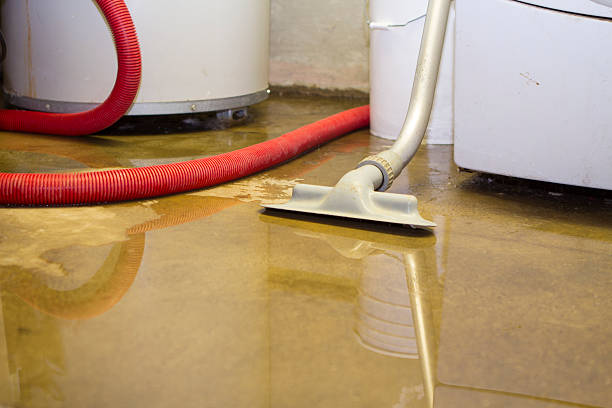 Best Water damage cleanup near me  in Jefferson, NC