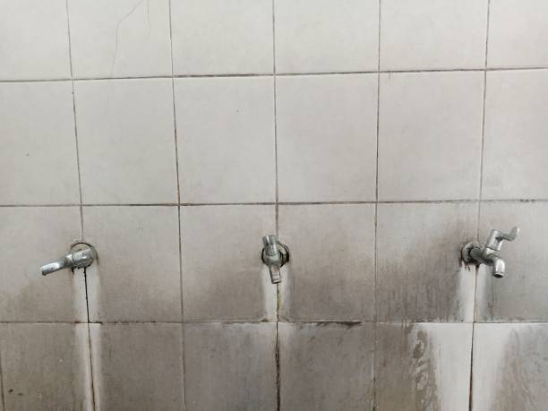 Best Flood restoration services  in Jefferson, NC