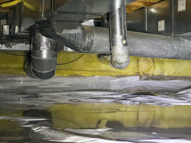 Best Flood restoration services  in Jefferson, NC