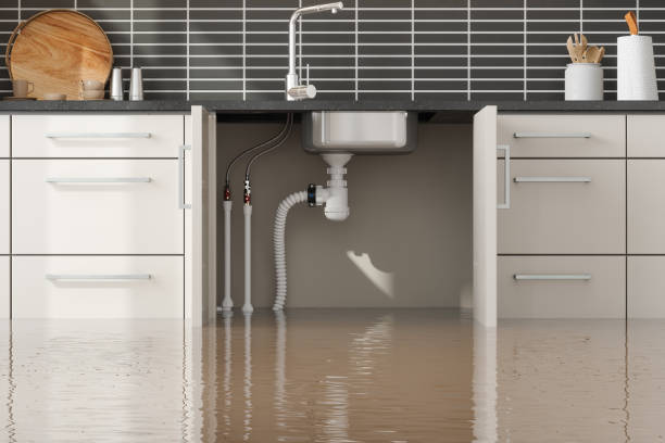 Best Local water damage restoration  in Jefferson, NC